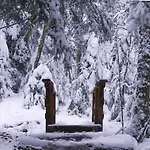 Le Grand Petit - Domaine De Charme - Jacuzzis Privatifs 度假居