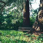 Le Grand Petit - Domaine De Charme - Jacuzzis Privatifs