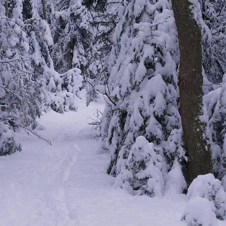 Le Grand Petit - Domaine De Charme - Jacuzzis Privatifs Tatil Evi *