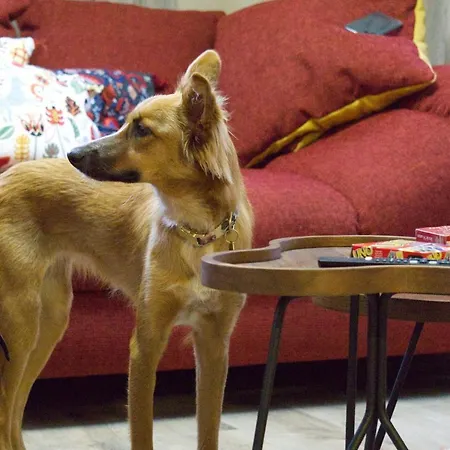 Le Grand Petit - Domaine De Charme - Jacuzzis Privatifs 別荘