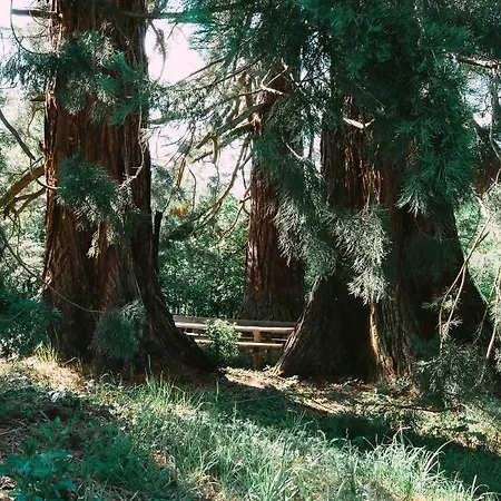 Le Grand Petit - Domaine De Charme - Jacuzzis Privatifs Σπίτι διακοπών