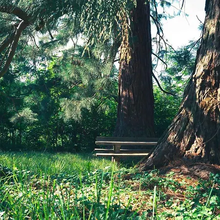 Le Grand Petit - Domaine De Charme - Jacuzzis Privatifs