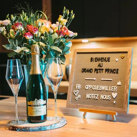 別荘 Le Grand Petit - Domaine De Charme - Jacuzzis Privatifs *