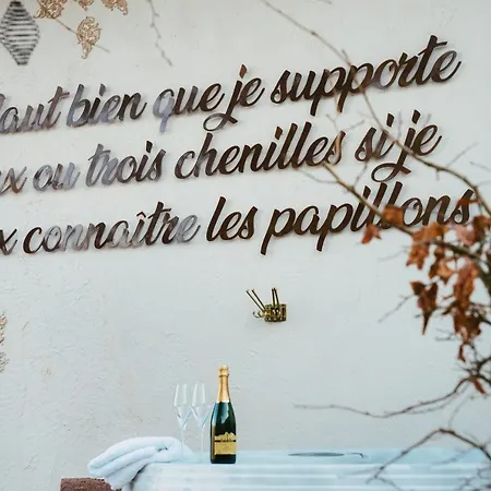 Le Grand Petit - Domaine De Charme - Jacuzzis Privatifs